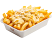 Double Cheese Loaded Fries 